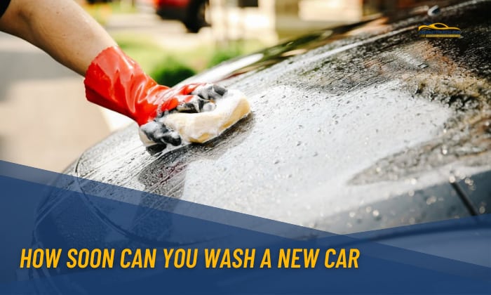 How Soon Can You Wash a New Car? – New Car Care
